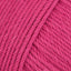 Fuchsia (58)