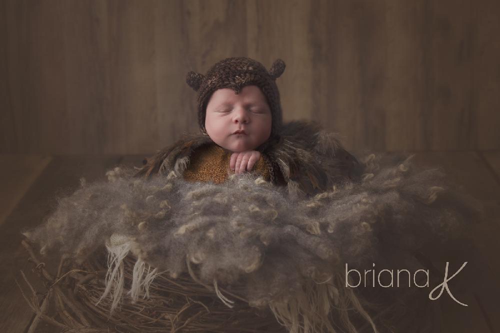 Owl Newborn Prop
