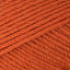 Cinnamon (Dupl3298)