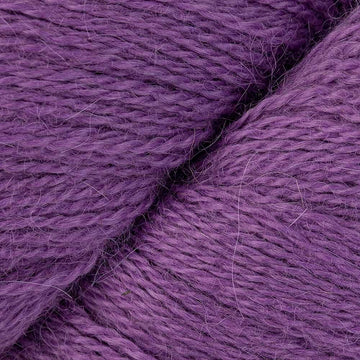 Diffused Orchid (12)