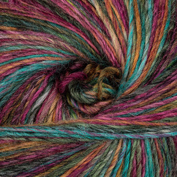 Magellanic (6828)