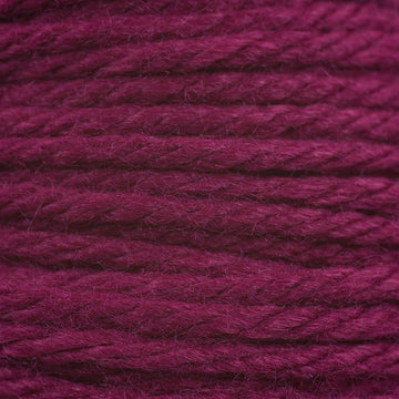 Elderberry (6159)