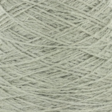 Lichen