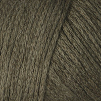 Canopy (254)