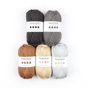 Paintbox Yarns Simply Chunky 5 Ball Color Pack