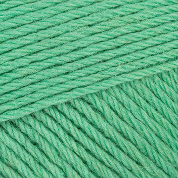 Spearmint Green (1225)