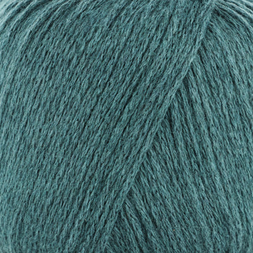 Dark Teal (200832)