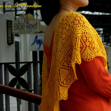 Dandelion on A Meadow