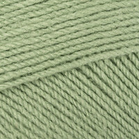 Parsley (3025)