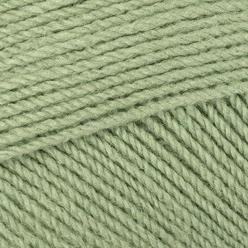 Parsley (3025)