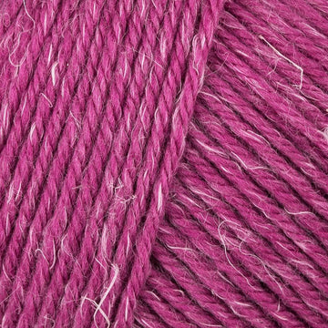 Fuchsia (12)