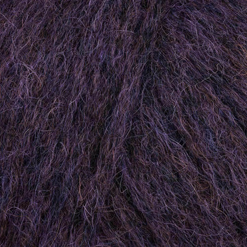 Aubergine (7)