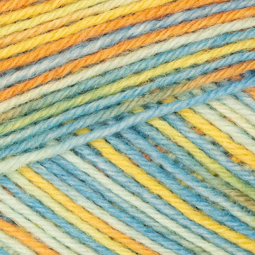 Variegata Color (01261)