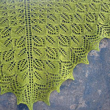 Photosynthesis Shawl