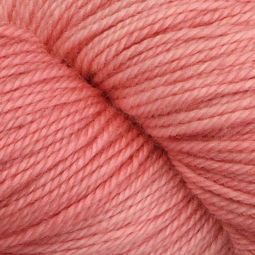 Grapefruit (19)
