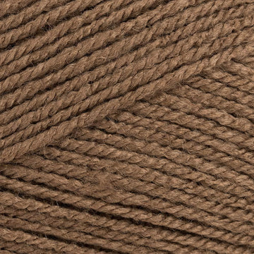 Camel (291)