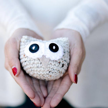 Owlbert, The Amigurumi Owl
