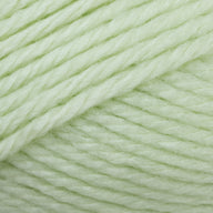 Baby Lime (3)