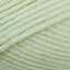 Baby Lime (3)