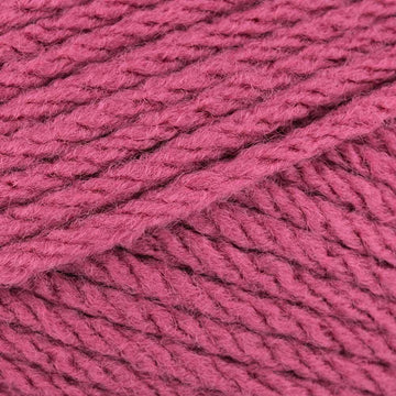 Raspberry (846)