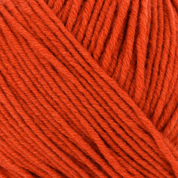 Paprika (10012)