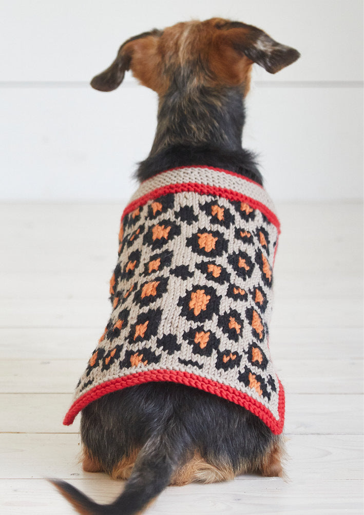 Debbie Bliss Leopard Pooch Knitting Pattern
