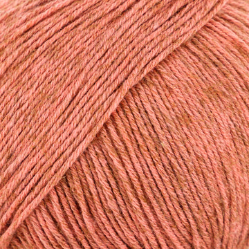 Terracotta (4)