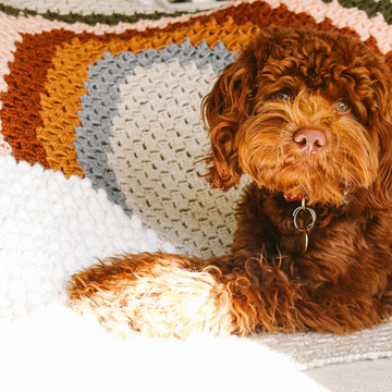 Over the Rainbow C2C Blanket