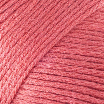 Tropical Coral (CW305)