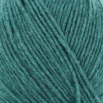 Teal (201362)