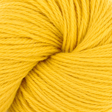 Marigold