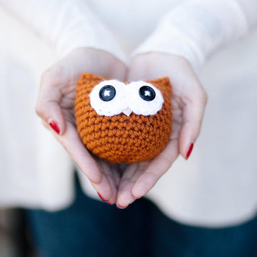 Owlbert, The Amigurumi Owl