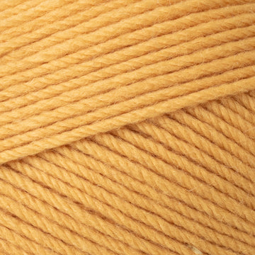 Delicata (3325)