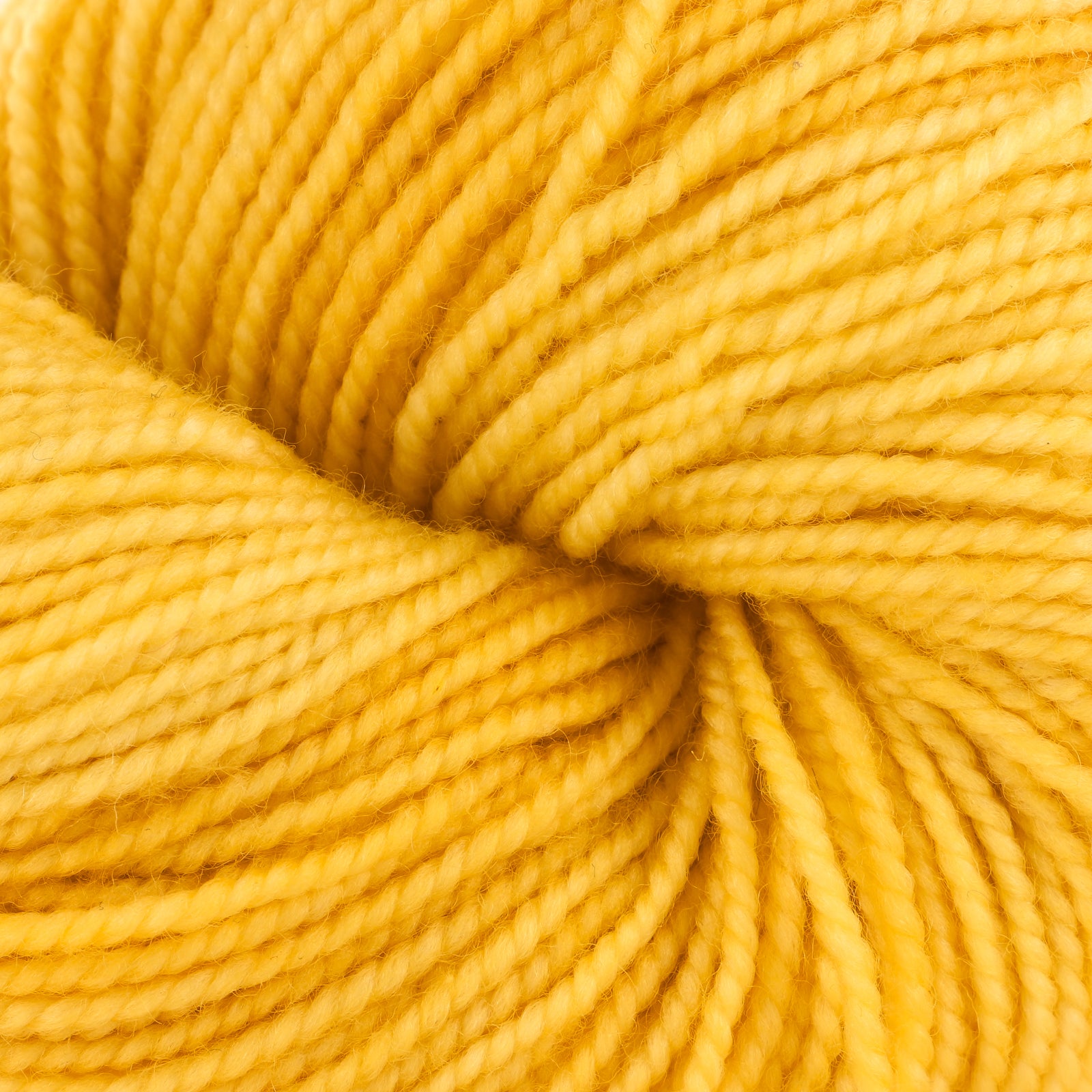 Camp Color CC Fingering Yarn - Superwash Merino 4 Ply