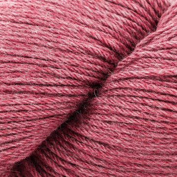 Pomegranate (6)