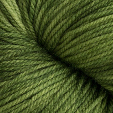 Shiny Moss (9)
