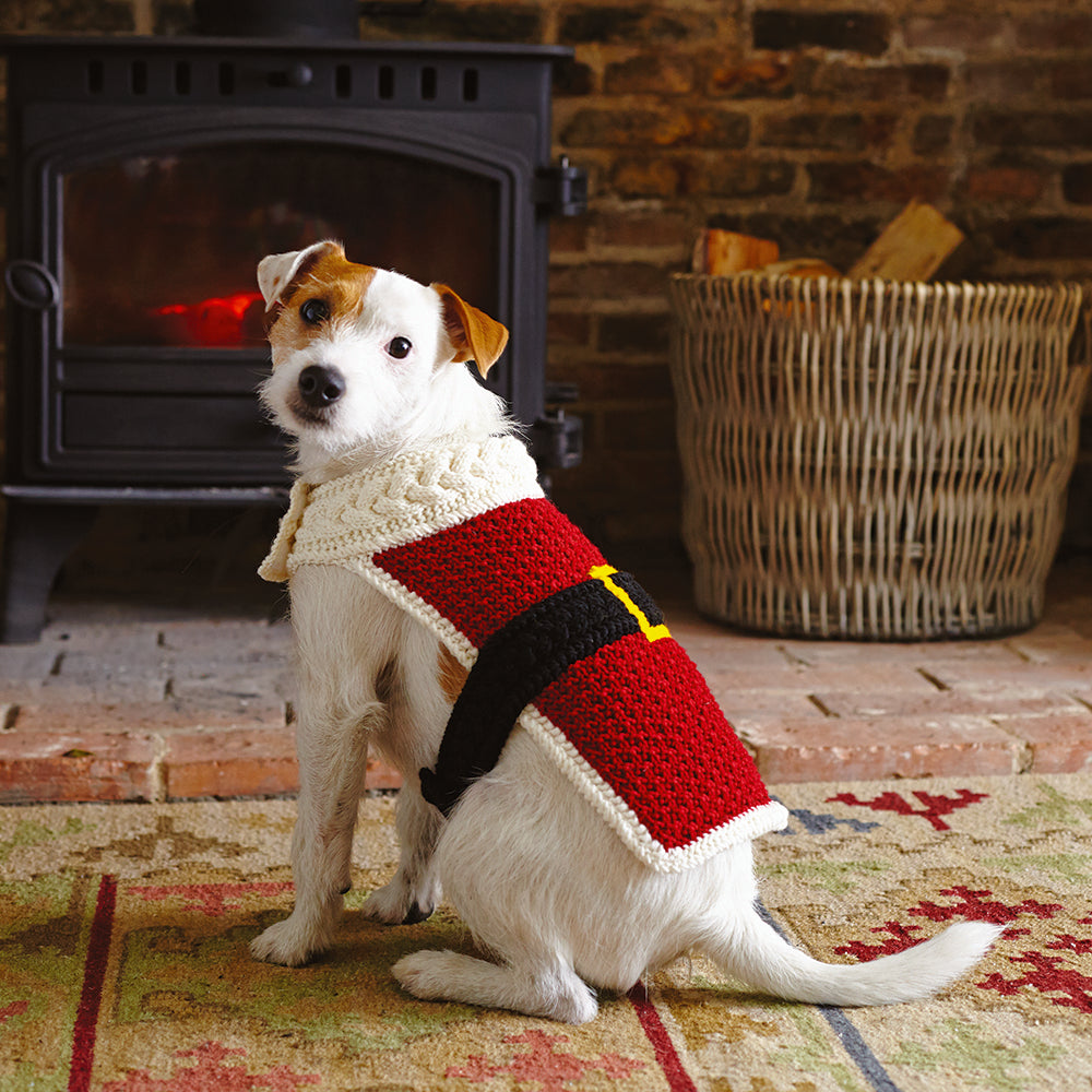Debbie Bliss Festive Collection Ebook Knitting Pattern