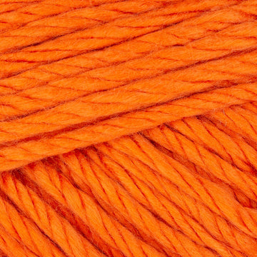 Harvest Pumpkin (99)