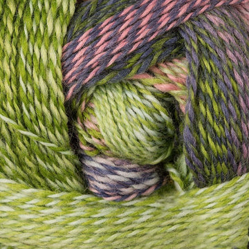 Blasser Schimmer (2170)