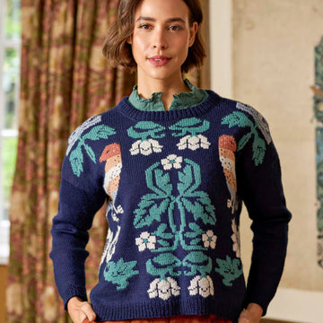 Impressions Four Knitting Patterns in Morris DK by Debbie Bliss & ChloÃƒÂ© Elizabeth Birch