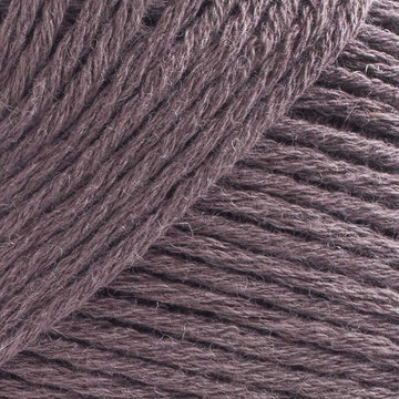 Truffle (CW825)