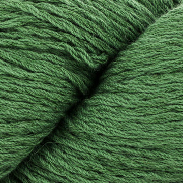 Kelp (106)