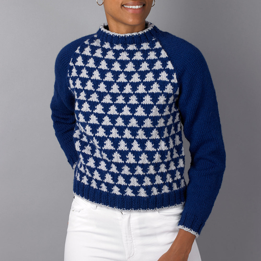 Paintbox Yarns Sleigh Ride Jumper Knitting Pattern