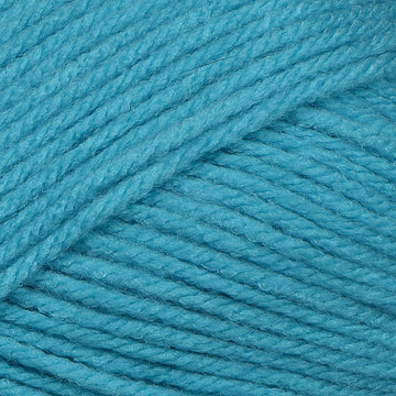 Bachelor Button (30)