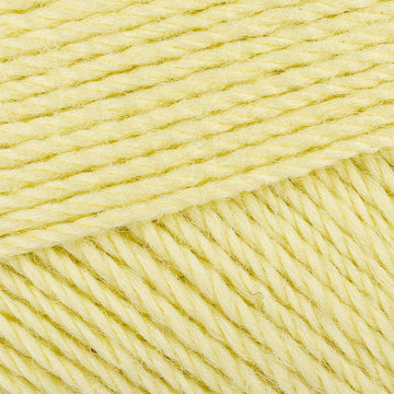 Energised lemon (102)