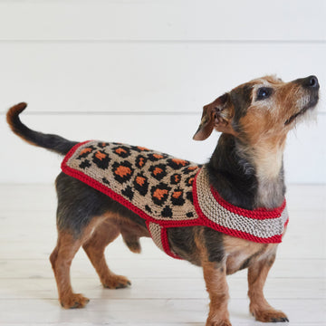 Debbie Bliss Leopard Pooch Knitting Pattern