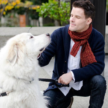 Andrea Rangel Briquette PDF