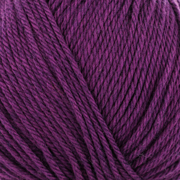 Royal Puprle (25)