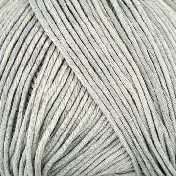 Silver Grey (668)