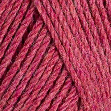 Rhubarb (10094B)